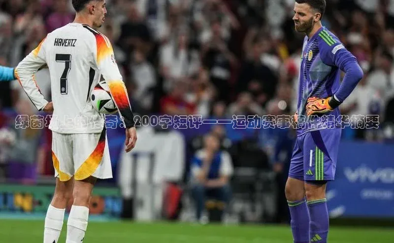 BB·贝博狼堡光魔科技绿茵场上的传奇：200字短评——运动赛事稿件精华摘要