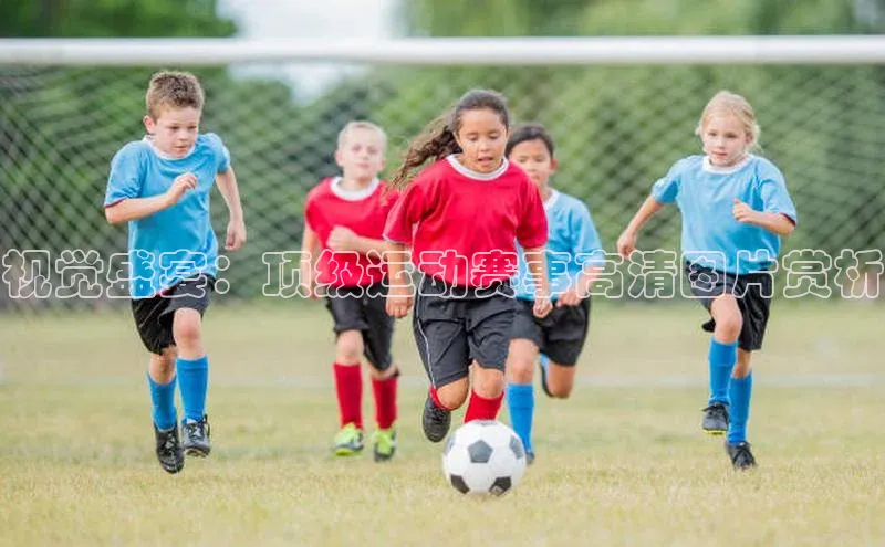 贝博APP体育网页字节跳动视觉盛宴：顶级运动赛事高清图片赏析