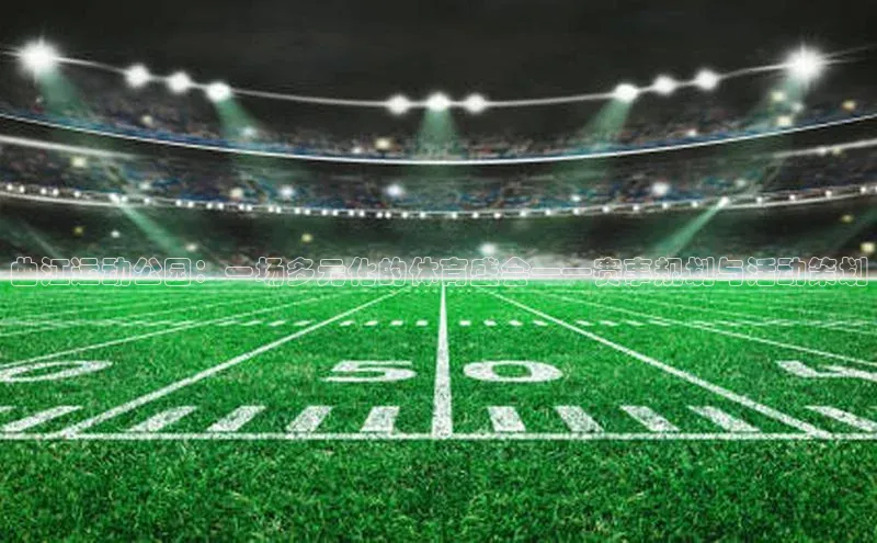 曲江运动公园：一场多元化的体育盛会——赛事规划与活动策划