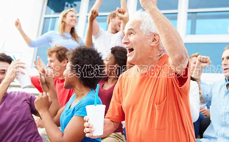 飞跃竞技：其他运动赛事的魅力与挑战