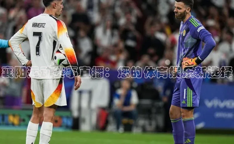 襄阳运动赛事直播：您的体育娱乐新选择