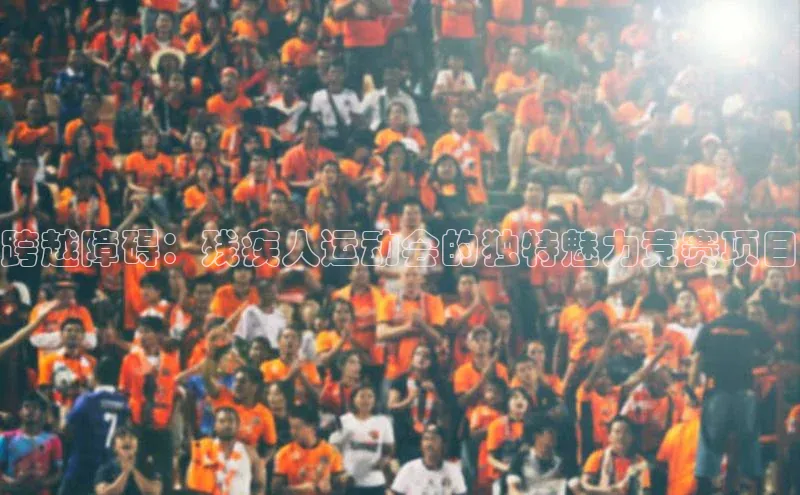 跨越障碍：残疾人运动会的独特魅力竞赛项目