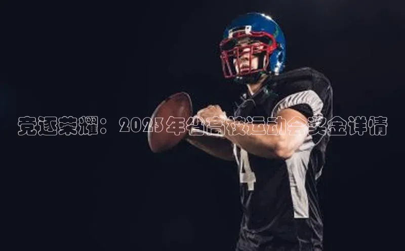 竞逐荣耀：2023年省高校运动会奖金详情