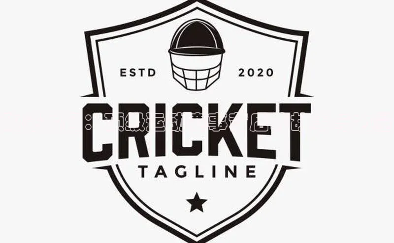 动感瞬间：顶级运动赛事背后的故事与力量