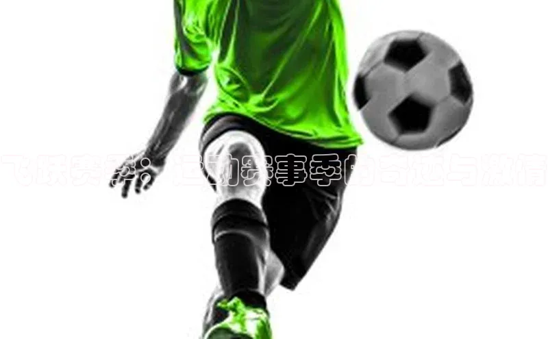 飞跃赛季：运动赛事季的奇迹与激情