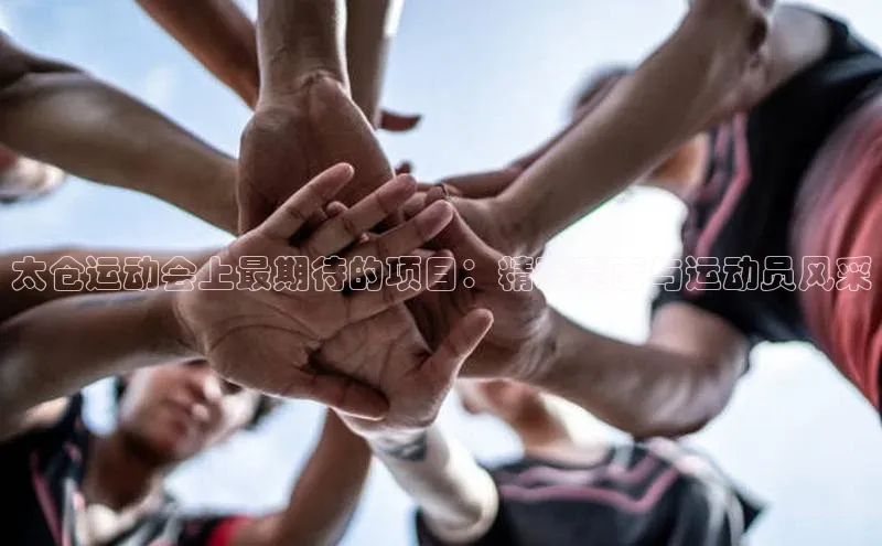 太仓运动会上最期待的项目：精彩赛事与运动员风采