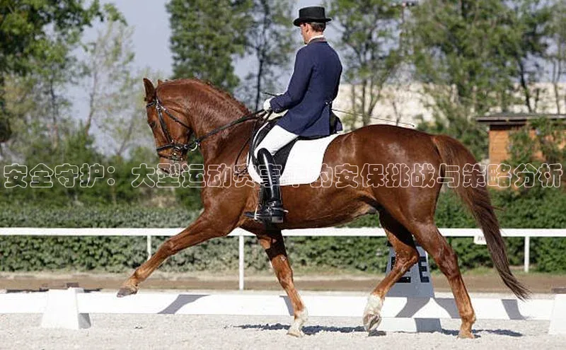 安全守护：大型运动赛事中的安保挑战与策略分析