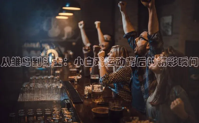 从雏鸟到斗士：小白鸡运动背后的精彩瞬间