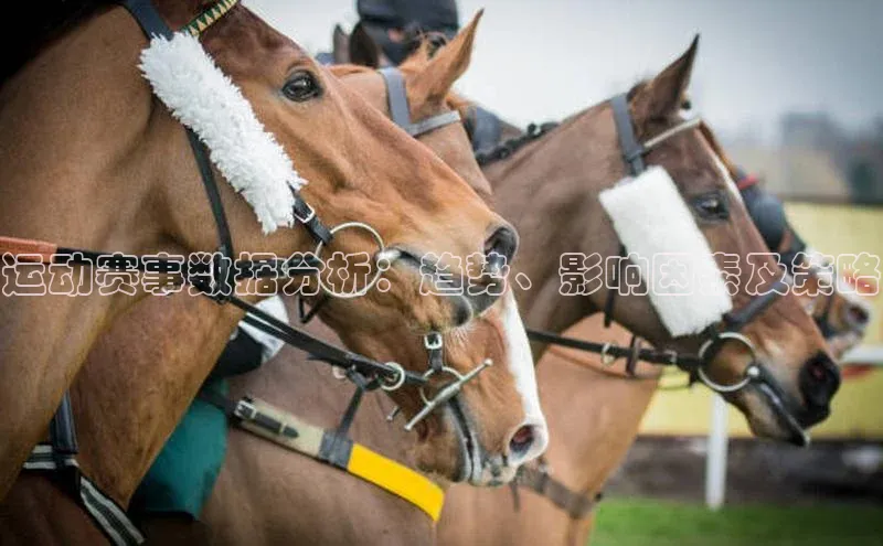运动赛事数据分析：趋势、影响因素及策略