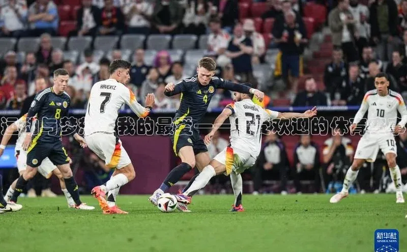 运动与梦想：我的最爱——最受欢迎的体育赛事