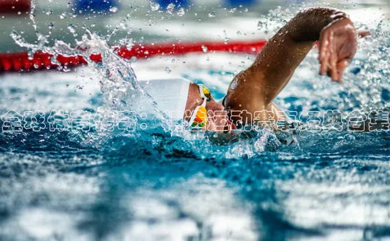 贝博betball体育app下载