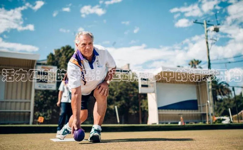 贝博bb平台体育网页版