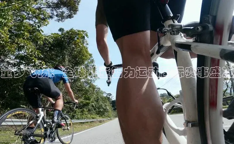 贝博betball官网登录